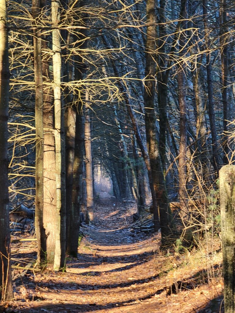 The Cost of Staying Almost Ready