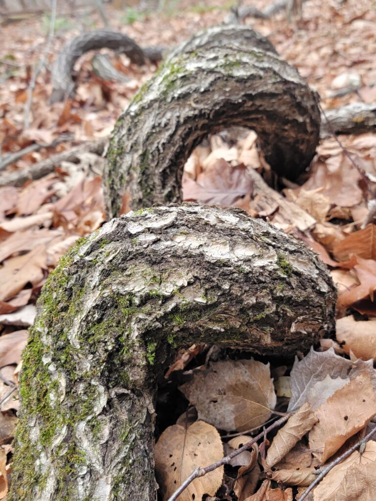 Aspire versus Settle