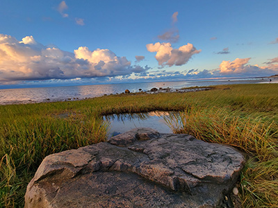 Let the Wild Ones Stay Wild