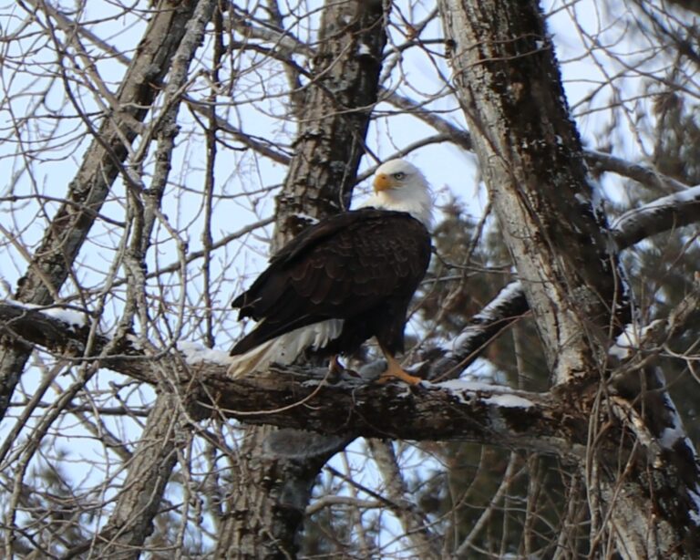 13 Ways You Might Be Betraying Your Own Consent