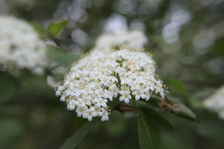 How do You Define Success