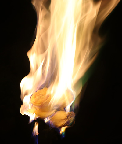 Flames flowers used to represent trading writing a bucket list for a Torch List